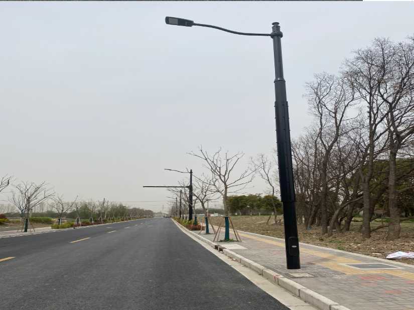 温江区上海综合杆 太阳能路灯工程